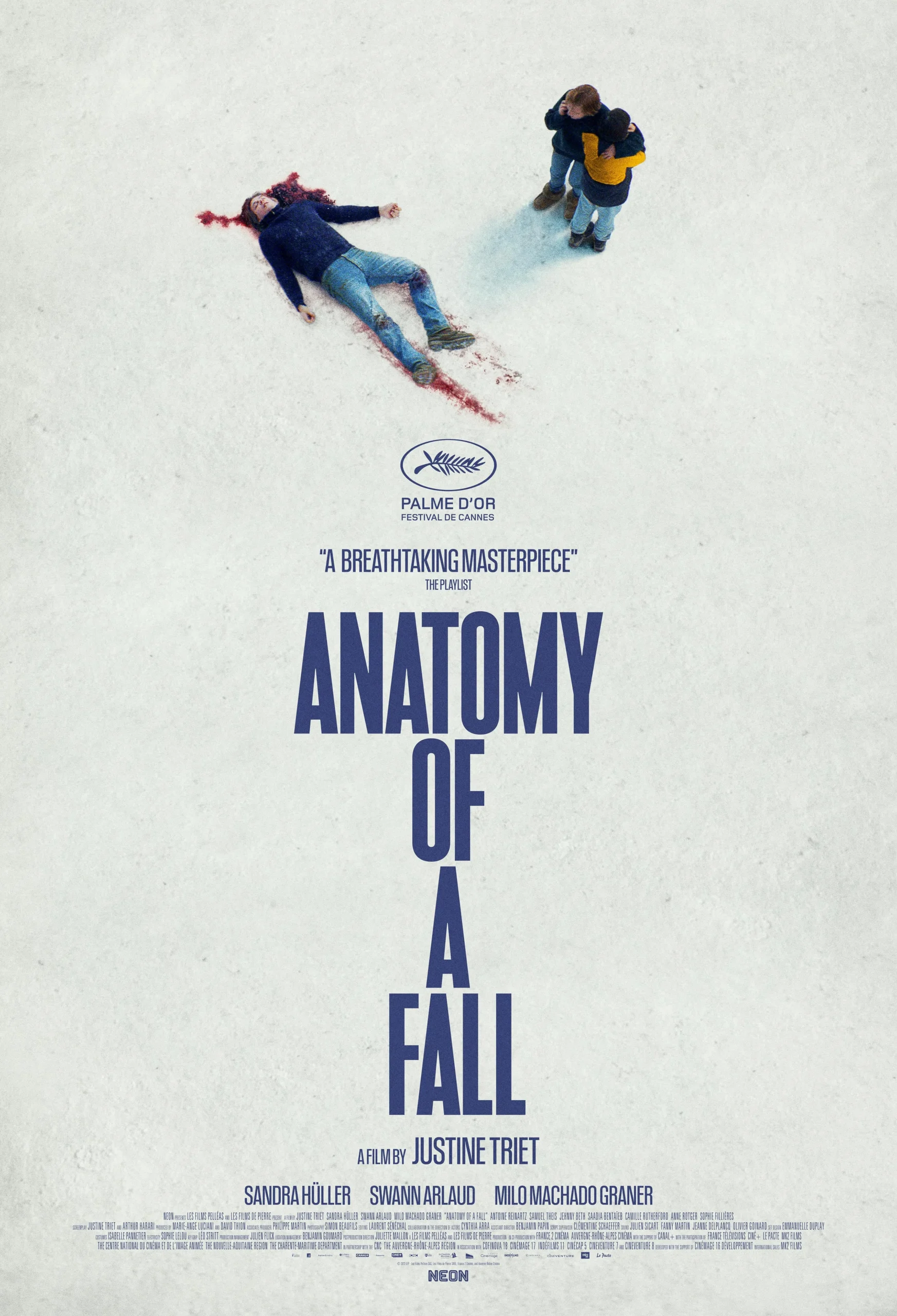 Anatomy of a fall 